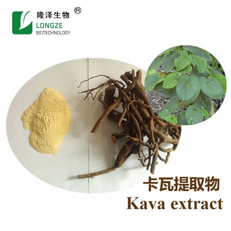 Extracto de kava kava china