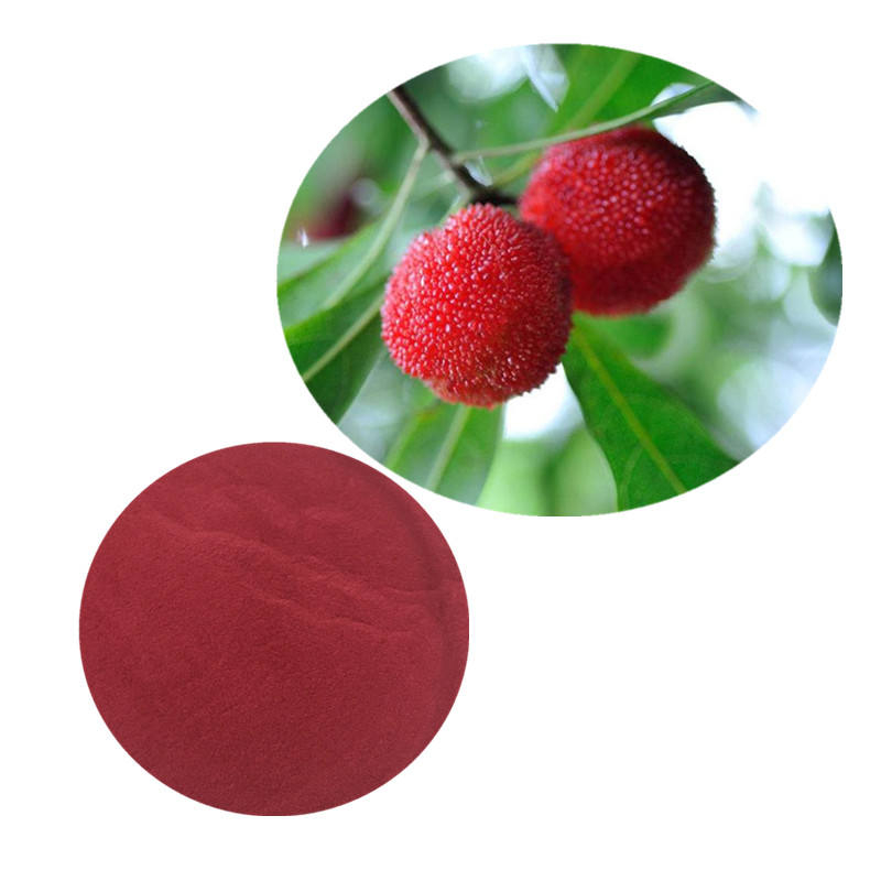 Polvo de extracto de Myrica Rubra Polvo de extracto de Waxberry Polvo de extracto de Bayberry rojo