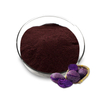 Polvo de extracto de camote púrpura/polvo de camote/extracto de ñame púrpura con buen precio