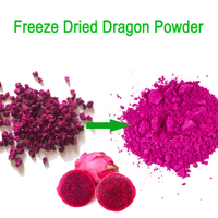 Polvo de fruta de Pitaya en polvo de dragón rojo liofilizado de pureza 100%
