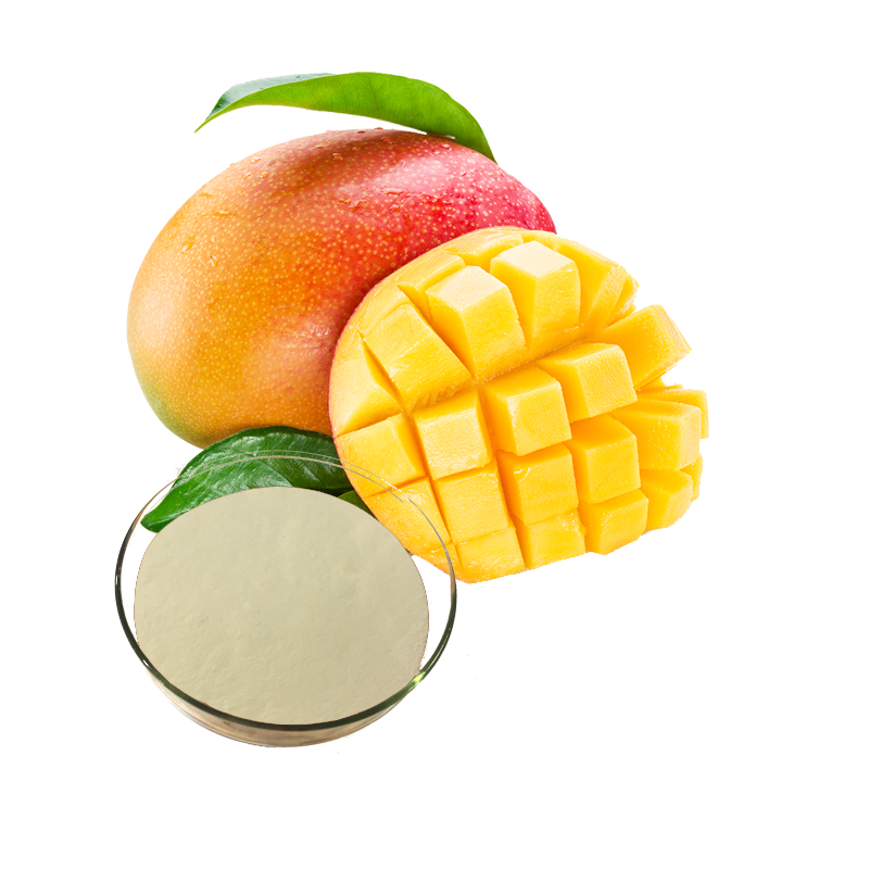 Polvo de extracto de fruta de mango